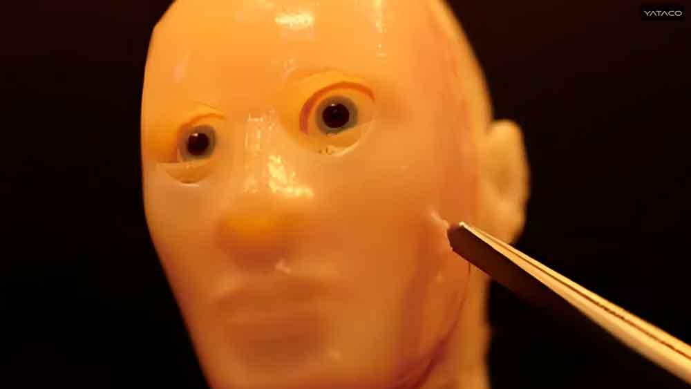 Investigadores japoneses desarrollan un robot facial con piel viva