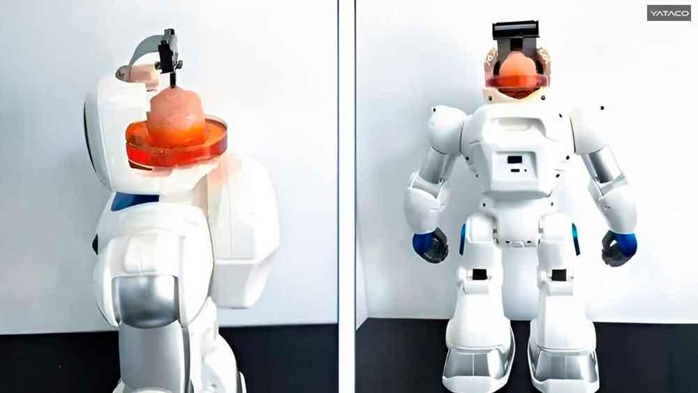 Científicos chinos construyen un robot con un cerebro humano hecho de células madre