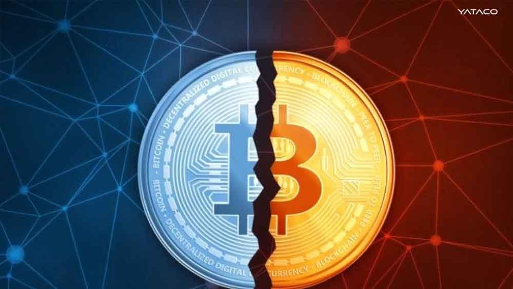 Bitcoin: El derrumbe de todas las criptomonedas