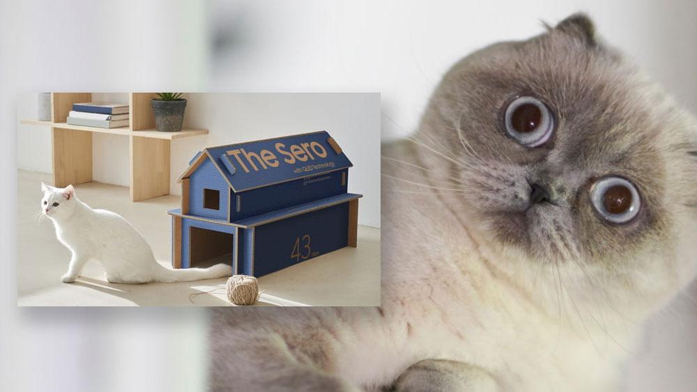 Convierte las cajas donde vienen las TV de la marca Samsung en casas de gato